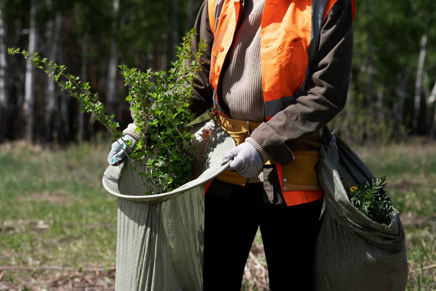 Best Local Tree Services  in Pinewood, FL